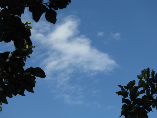 582027 (a): :1600x1200